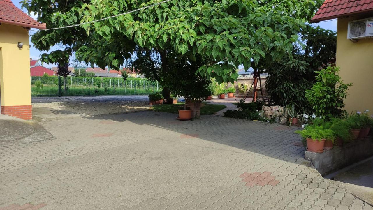 Eckhardt Vendeghaz Hotel Villany Bagian luar foto