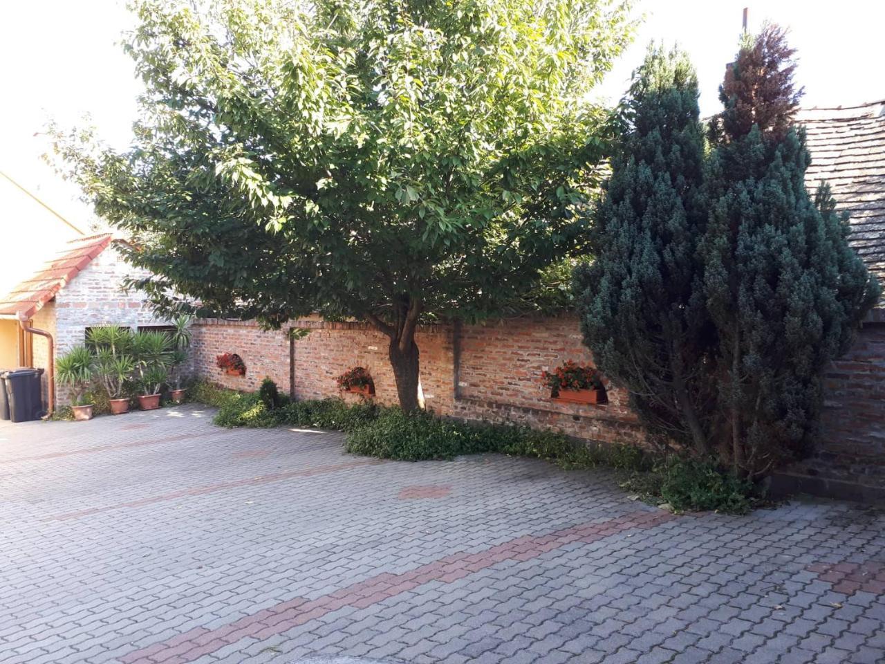 Eckhardt Vendeghaz Hotel Villany Bagian luar foto