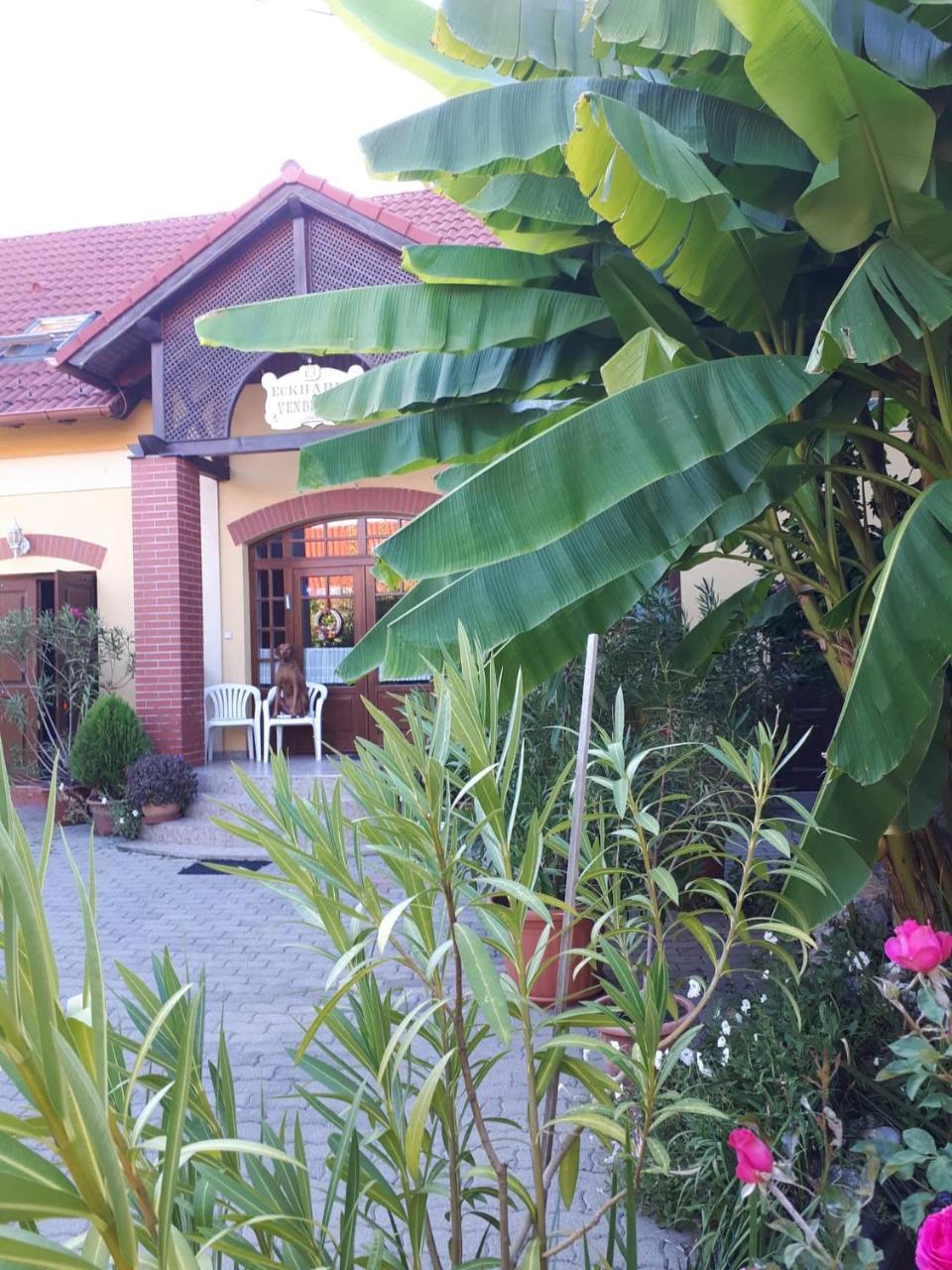 Eckhardt Vendeghaz Hotel Villany Bagian luar foto
