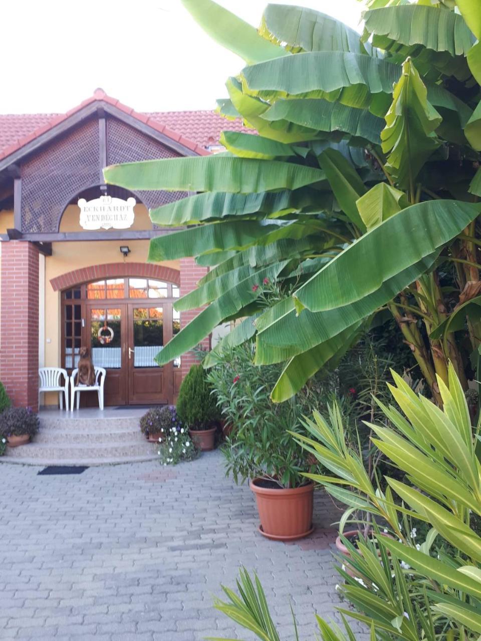 Eckhardt Vendeghaz Hotel Villany Bagian luar foto